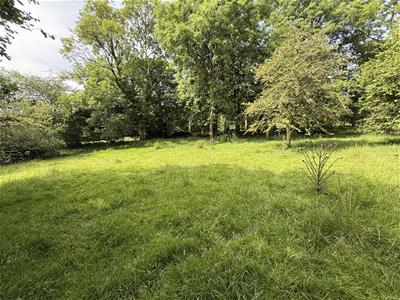 Picture 35